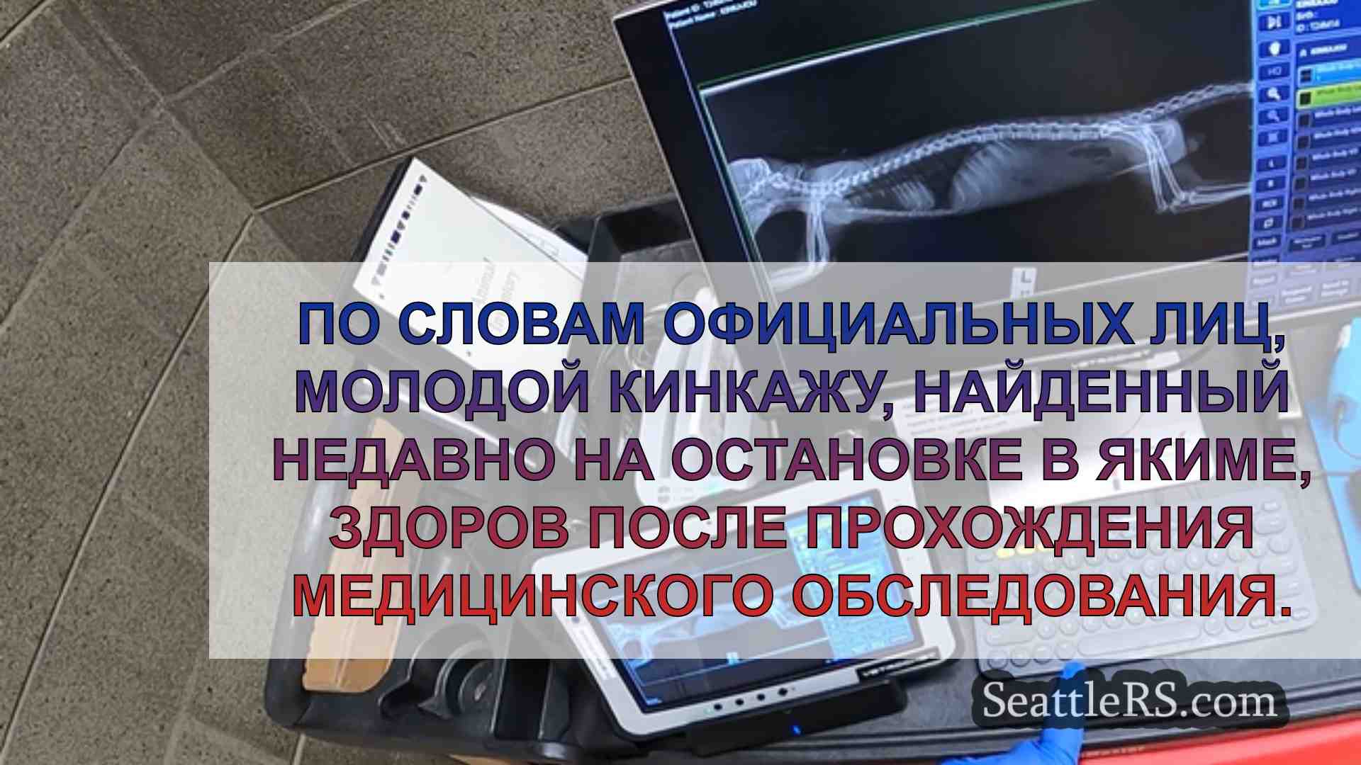 Новости Сиэтла SeattleRS