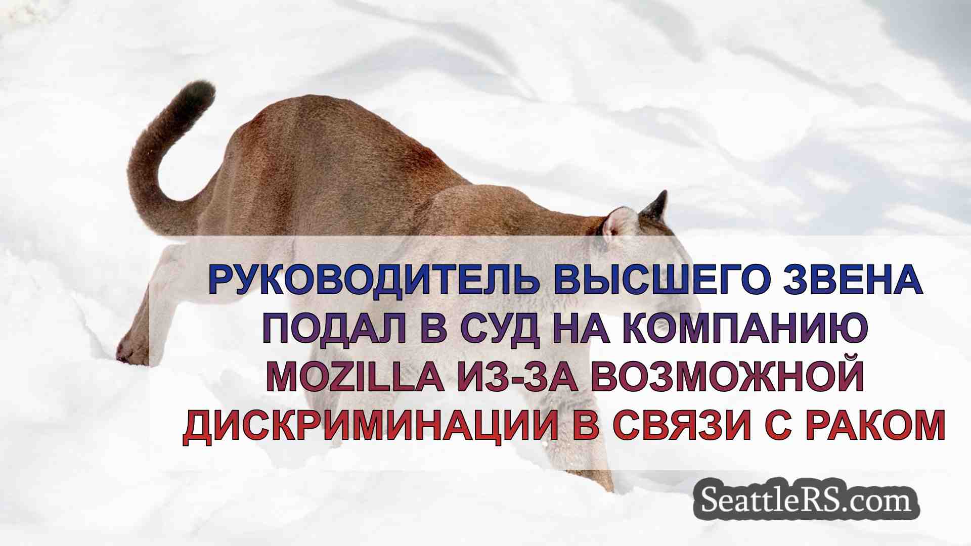 Новости Сиэтла SeattleRS