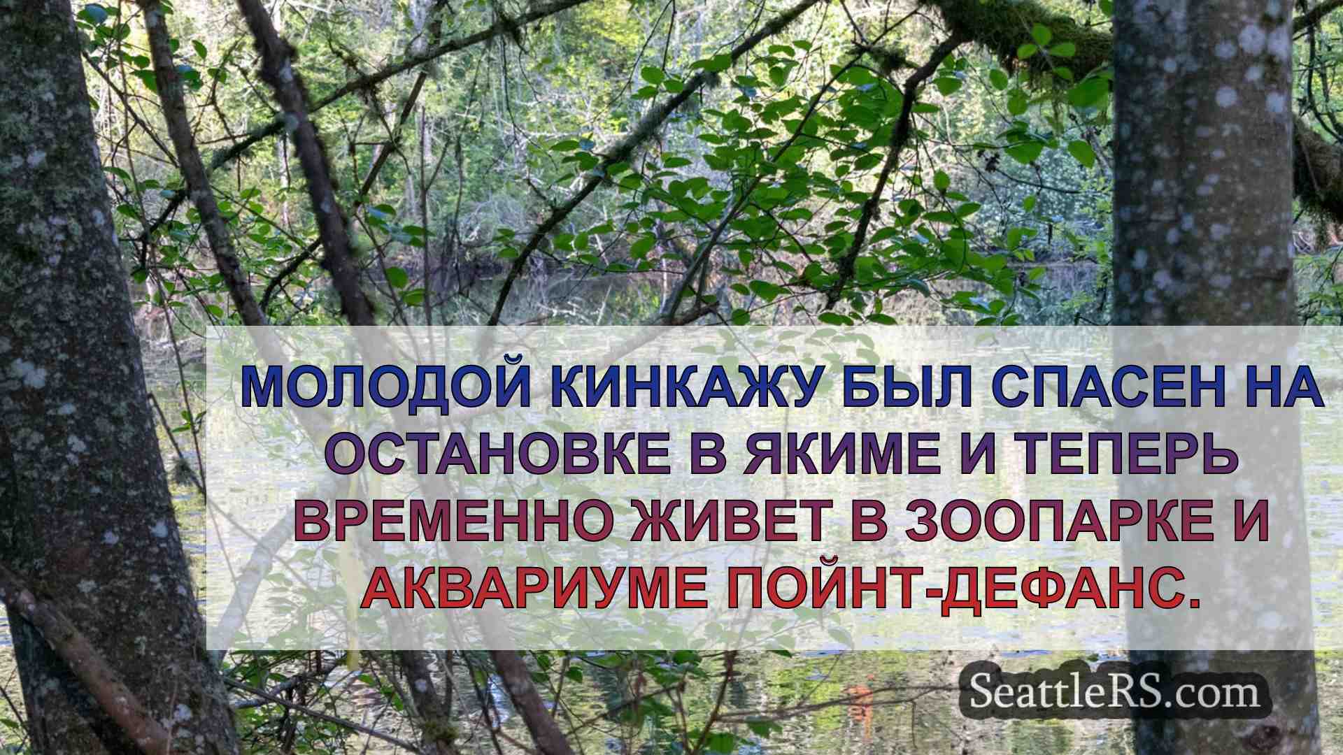 Новости Сиэтла SeattleRS