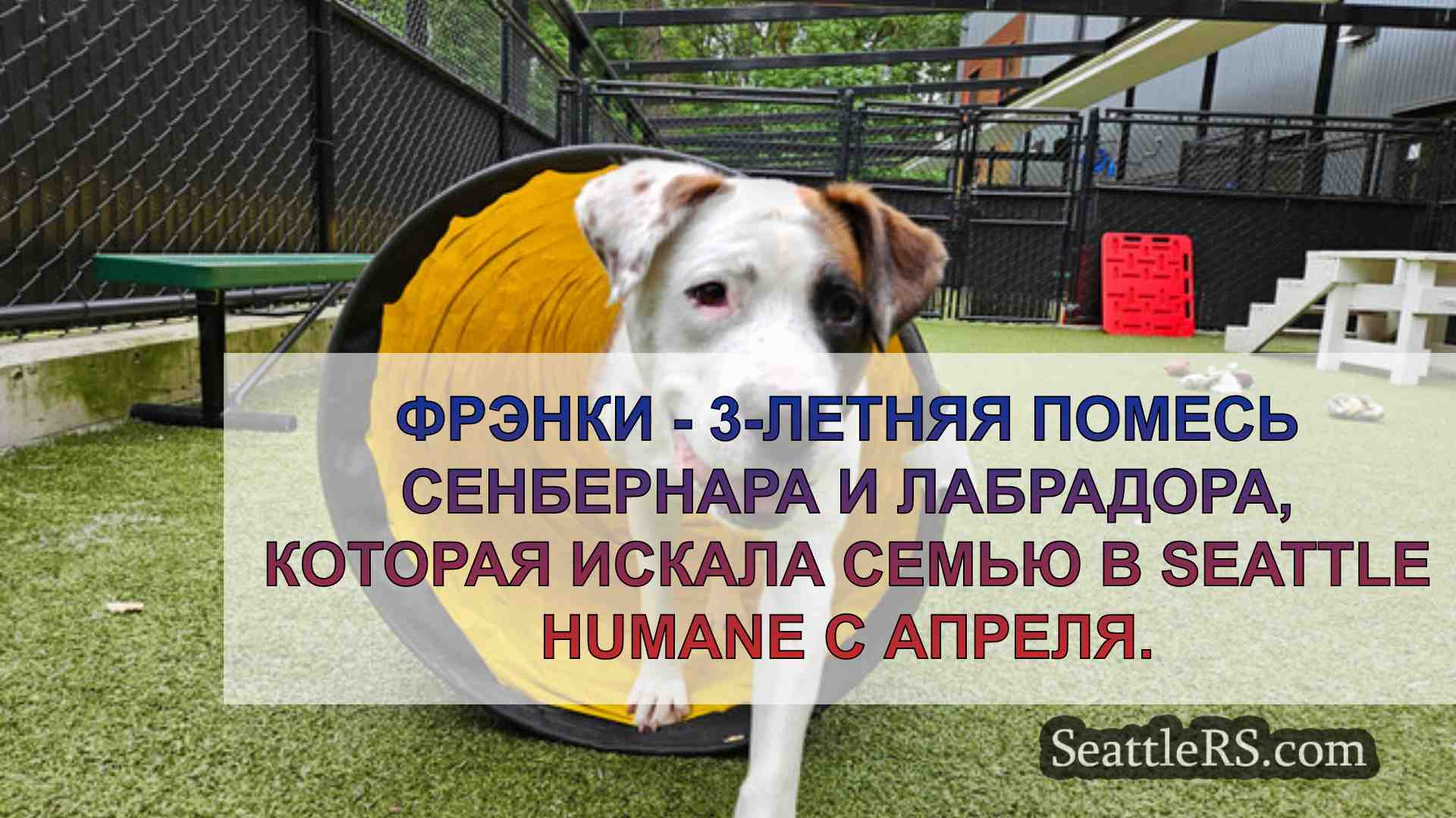 Новости Сиэтла SeattleRS