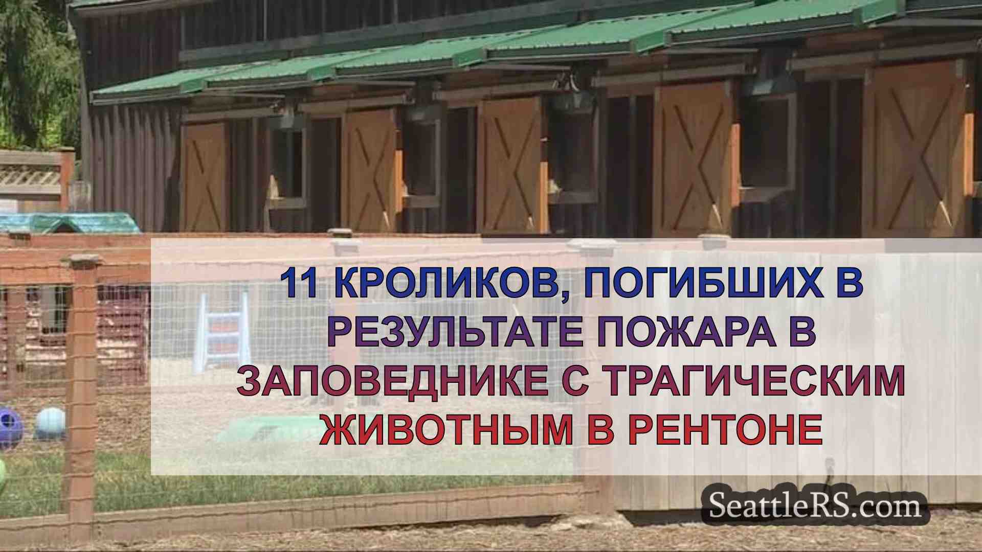 11 кроликов, погибших в результате