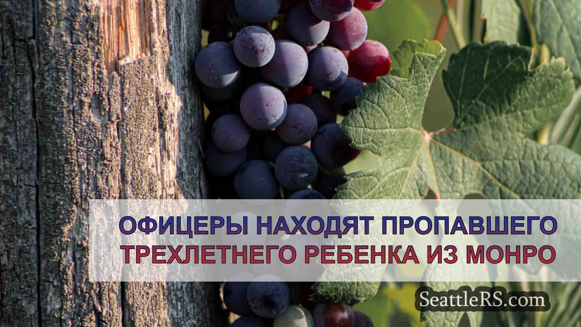 Новости Сиэтла SeattleRS
