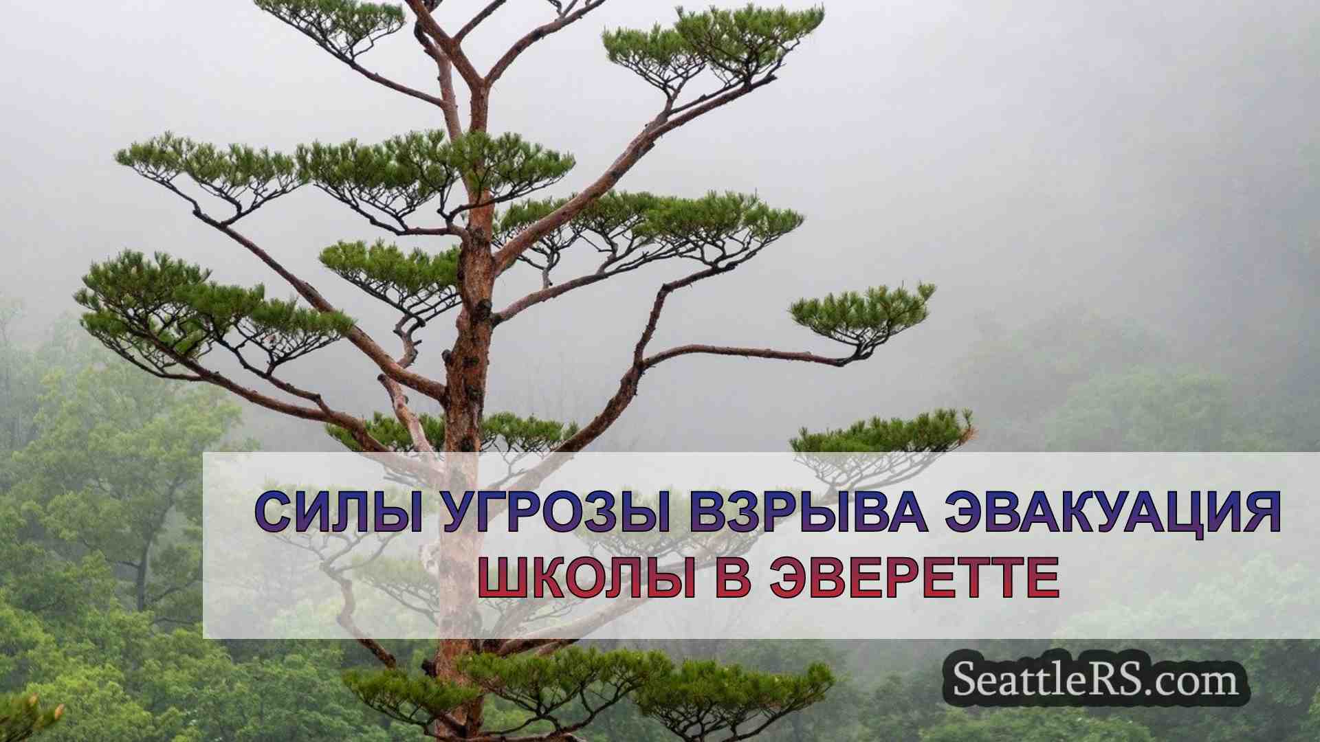 Угроза взрыва вынуждает эвакуировать