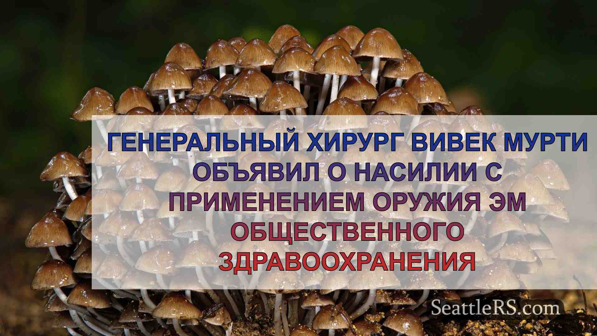Новости Сиэтла SeattleRS