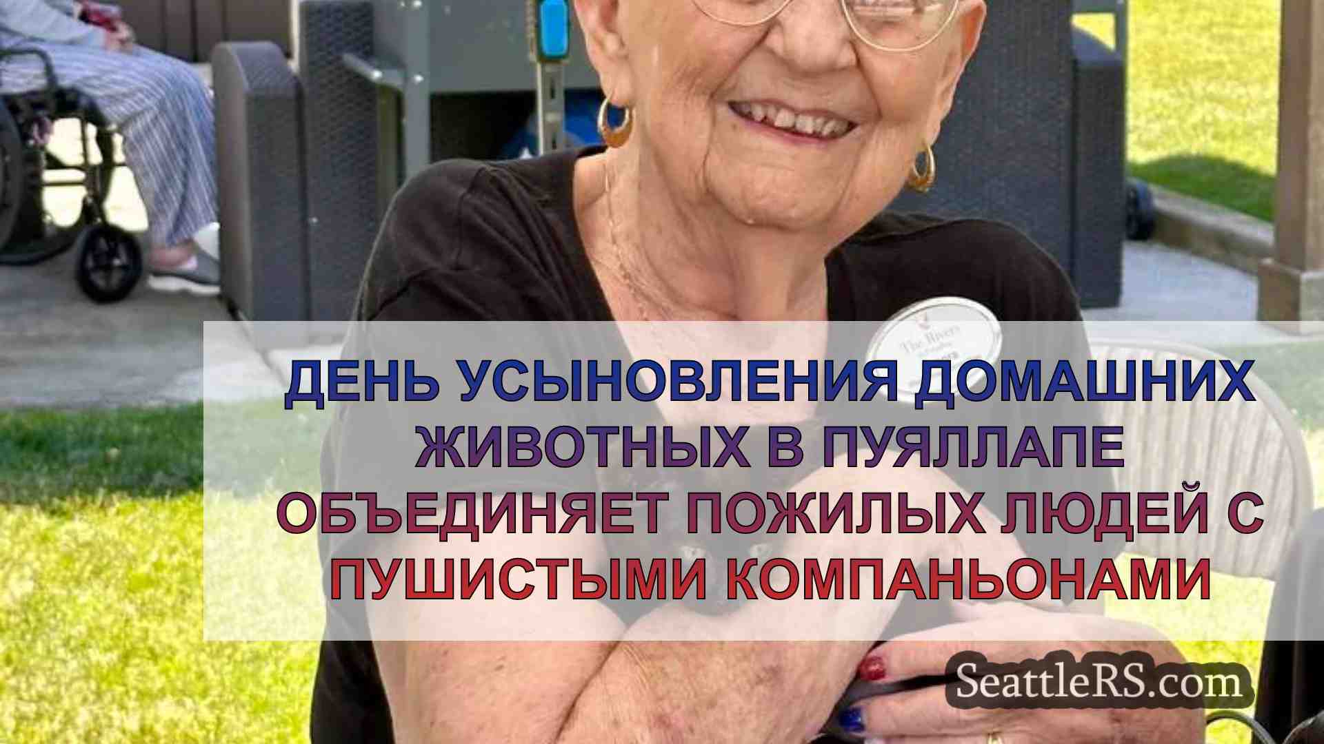 День усыновления домашних животных в