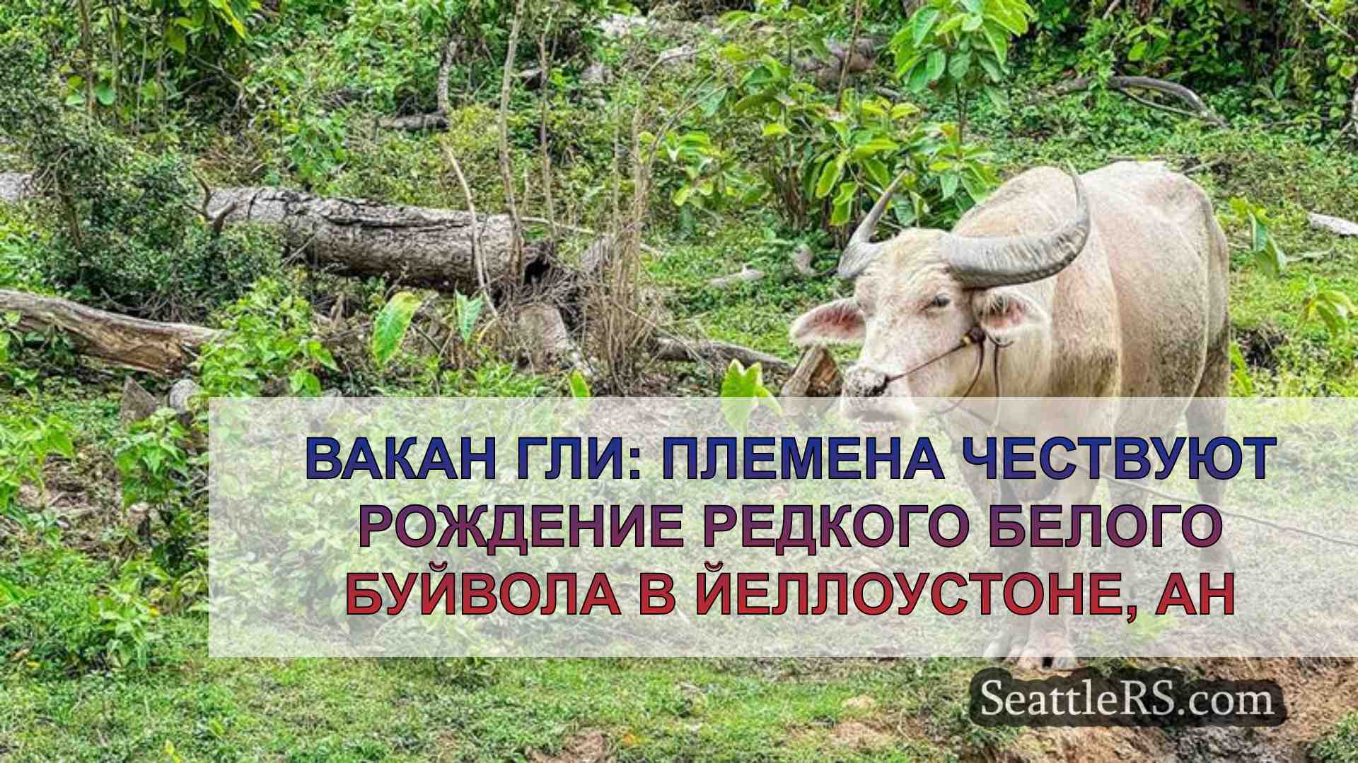 Вакан Гли: племена чествуют рождение