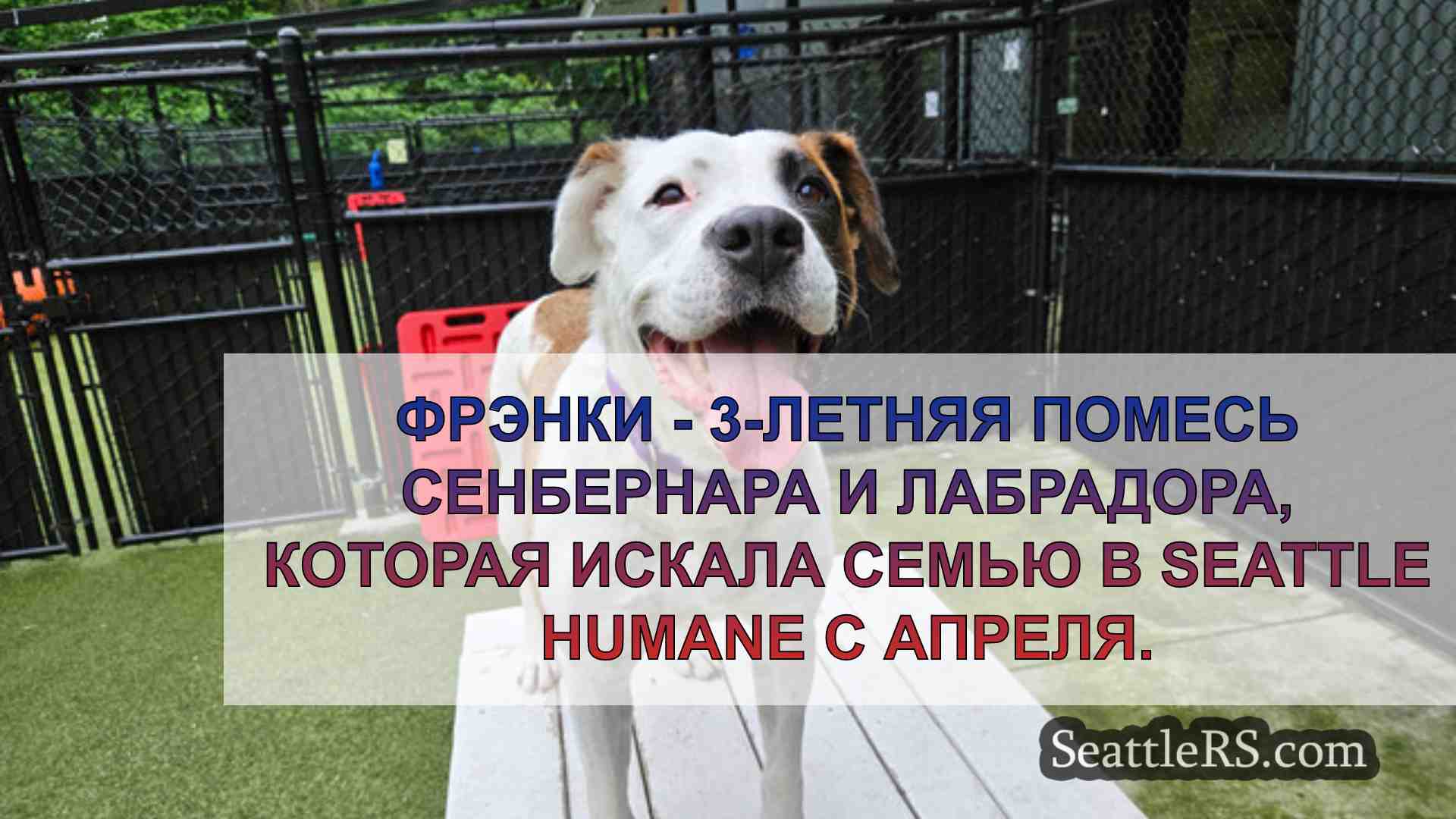 Новости Сиэтла SeattleRS
