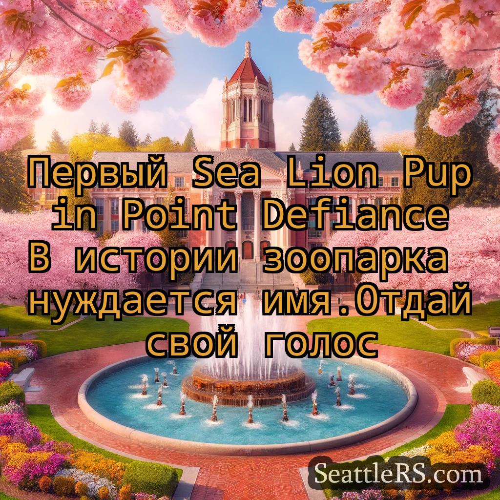 Сиэтл новости Первый Sea Lion Pup in Point