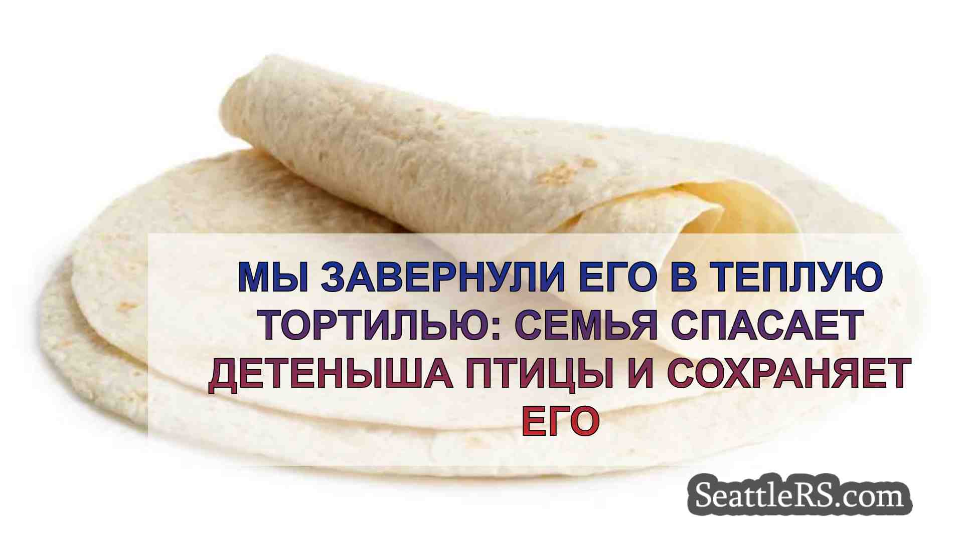 Мы завернули его в теплую тортилью: