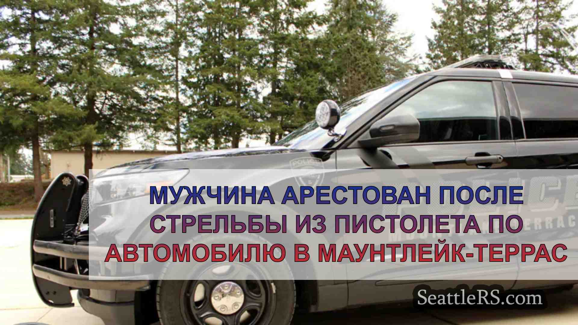 Мужчина арестован после стрельбы из