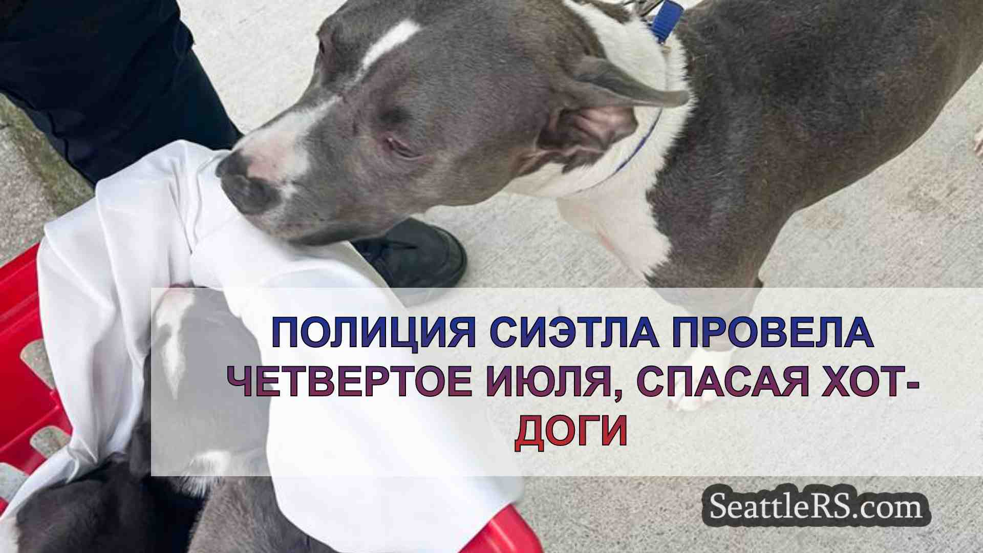 Новости Сиэтла SeattleRS