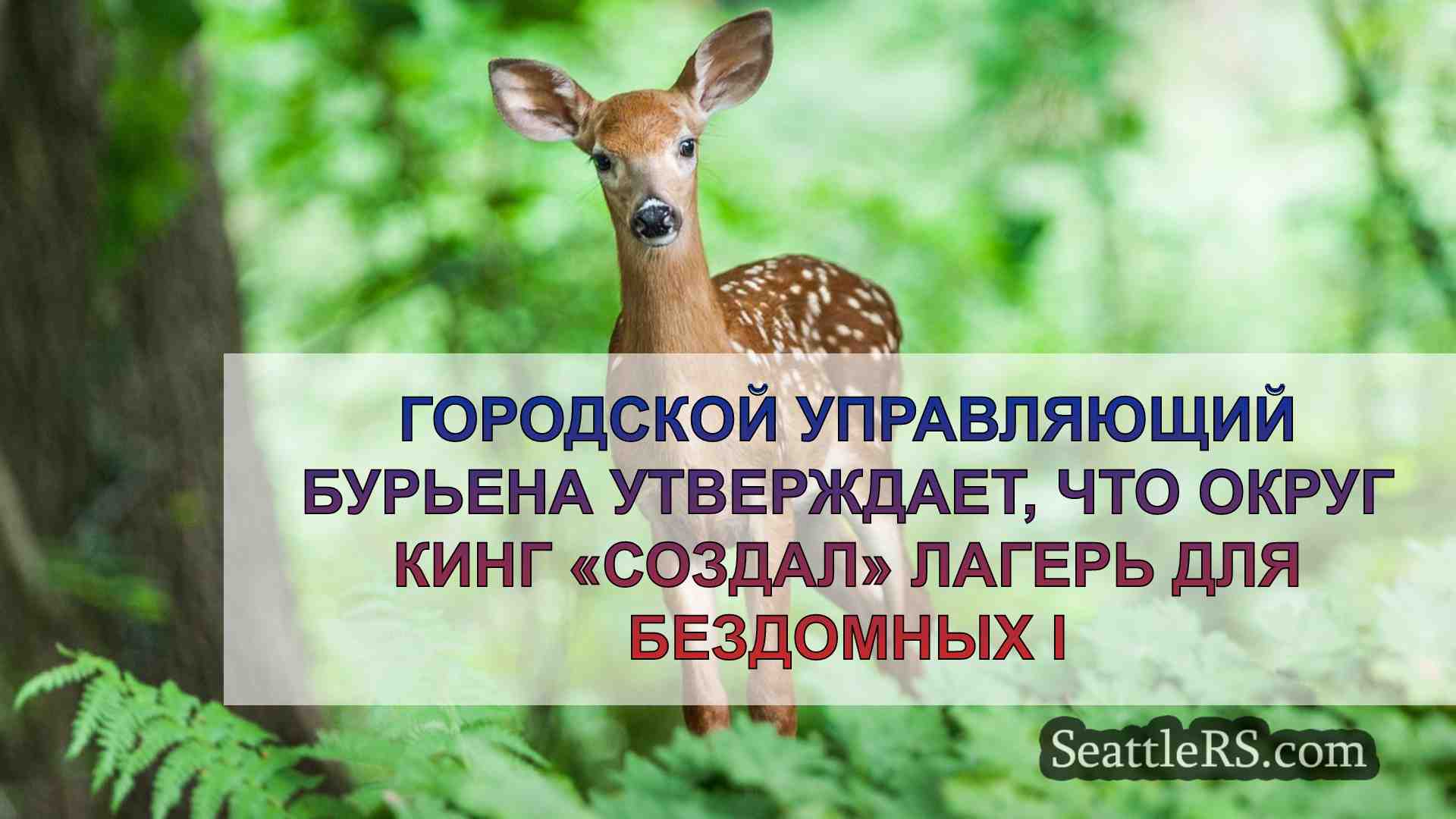 Новости Сиэтла SeattleRS