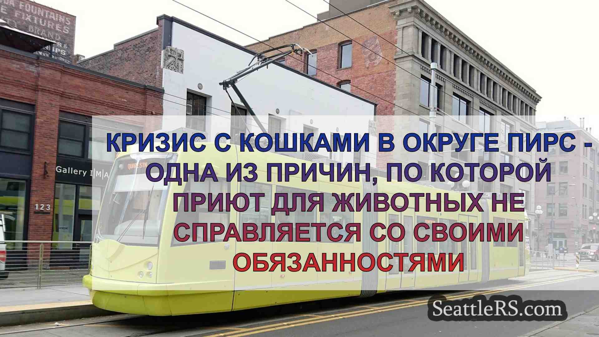 Кризис с кошками в округе Пирс - одна
