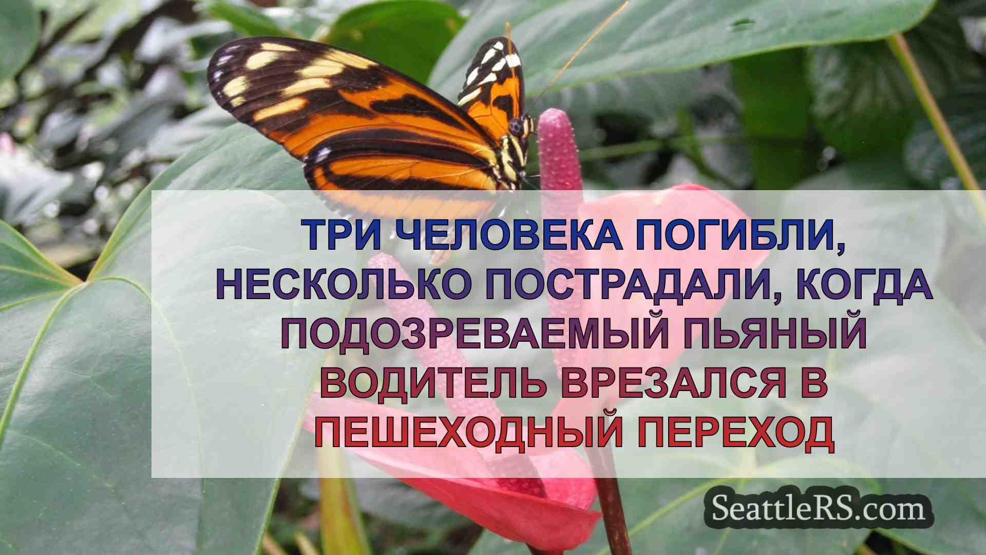 Новости Сиэтла SeattleRS
