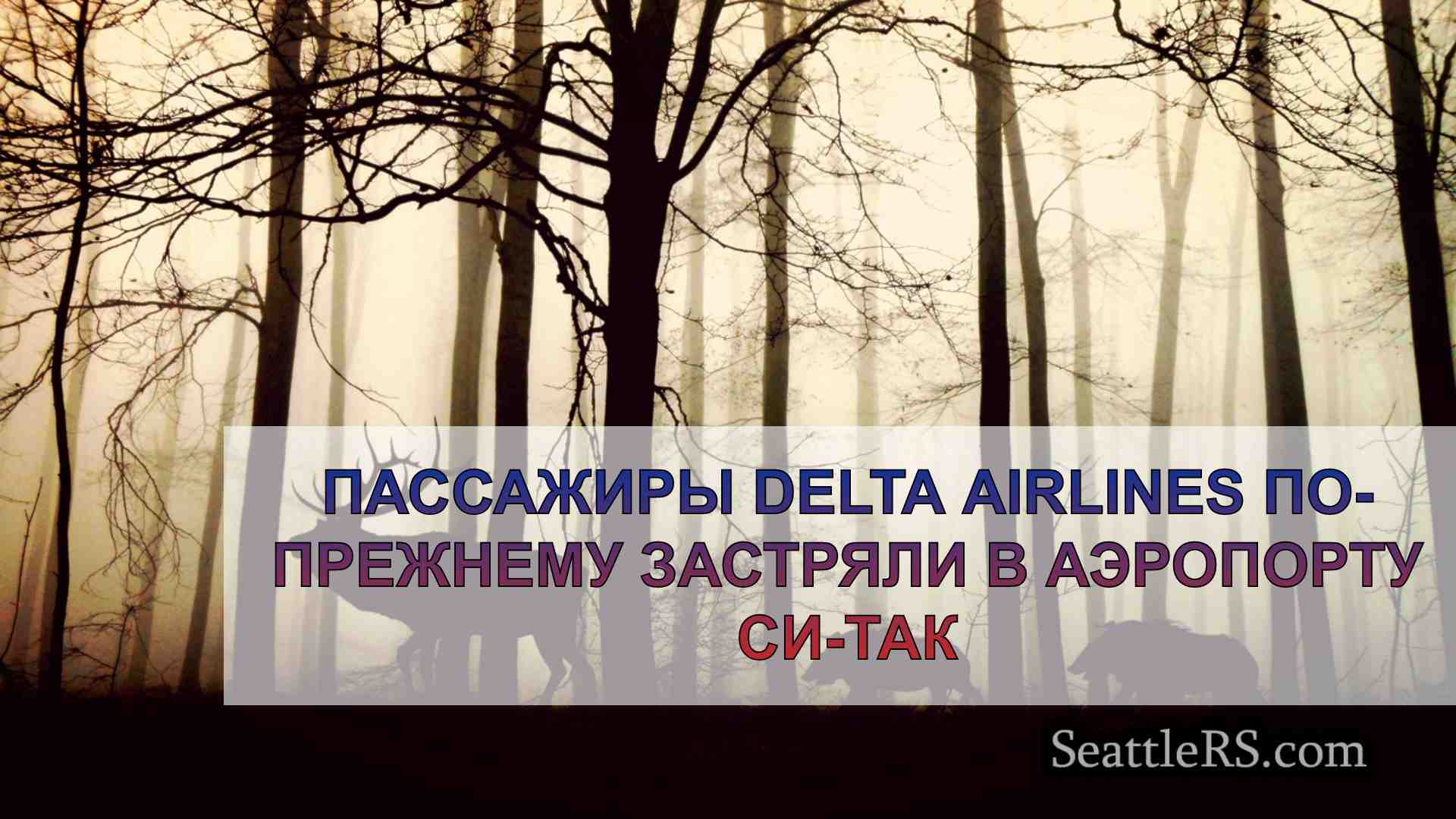 Новости Сиэтла SeattleRS