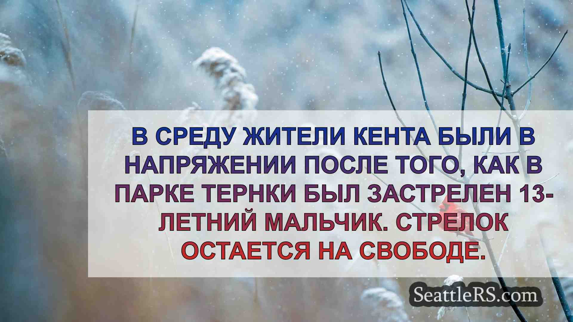 Новости Сиэтла SeattleRS