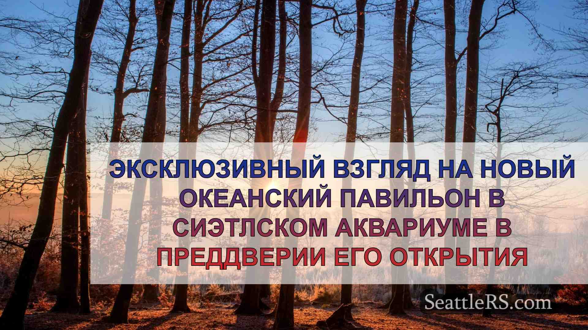 Новости Сиэтла SeattleRS