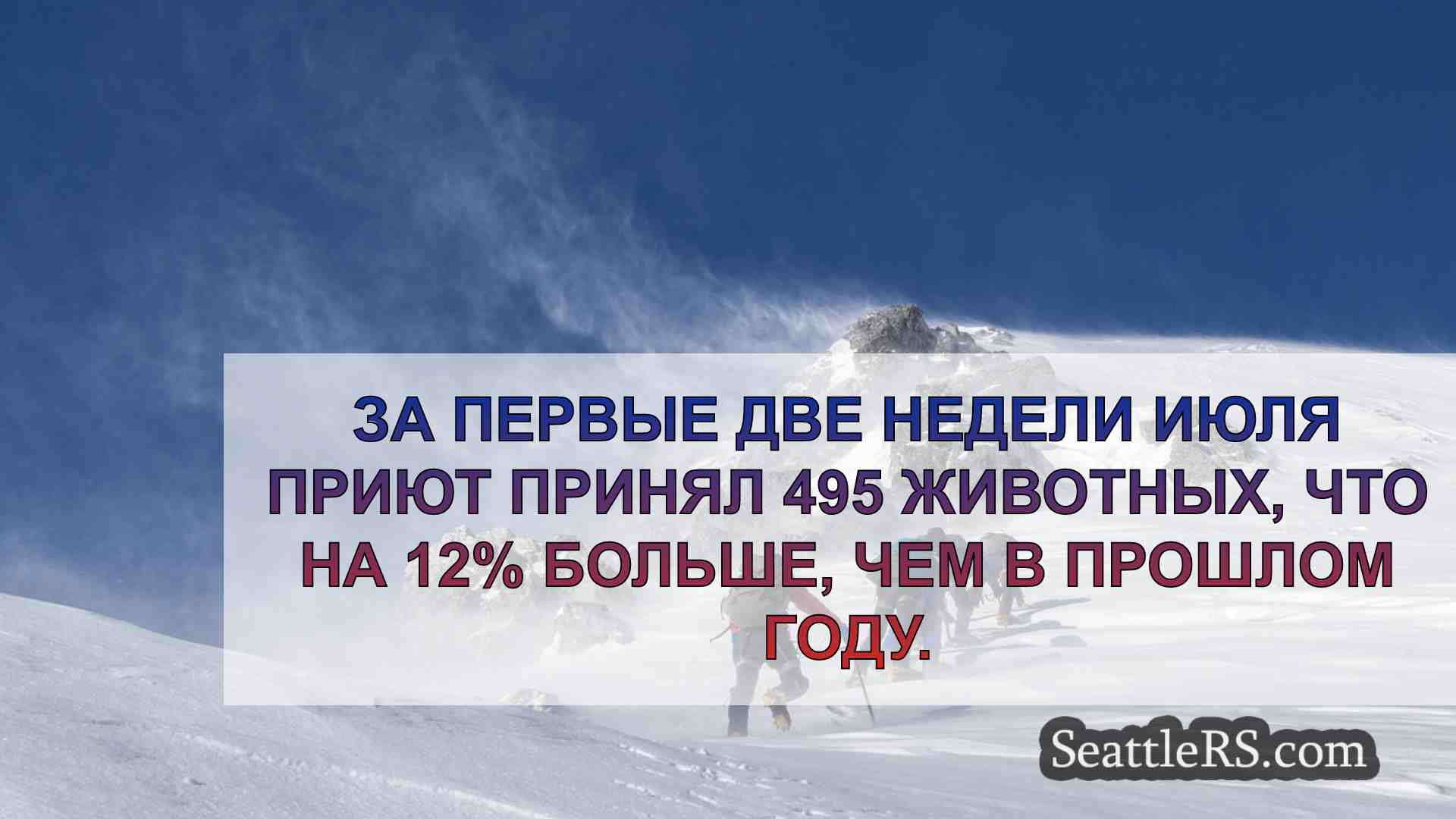 Новости Сиэтла SeattleRS
