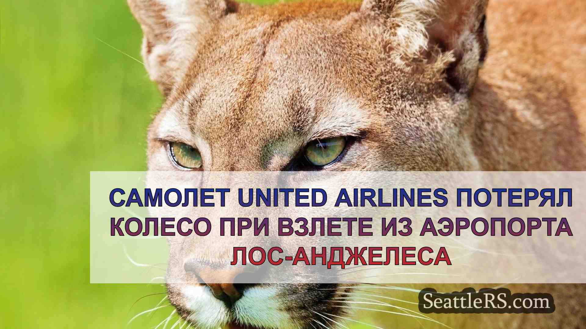Новости Сиэтла SeattleRS