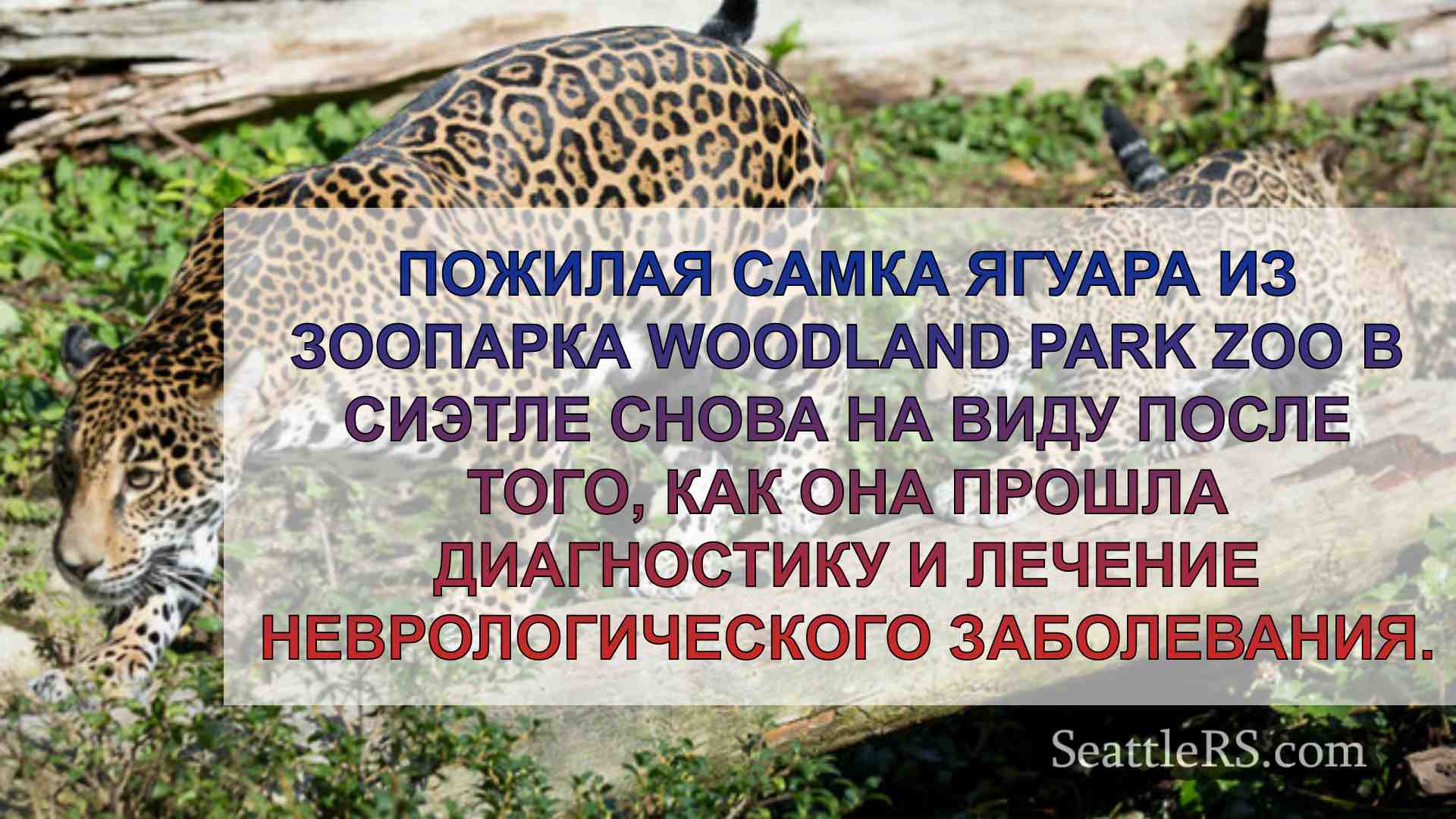 Новости Сиэтла SeattleRS