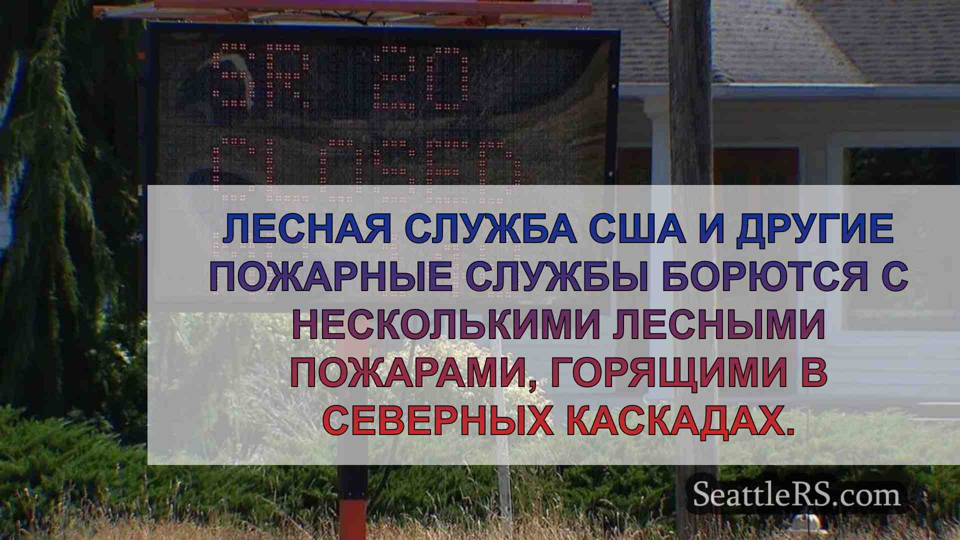 Несколько крупных лесных пожаров в