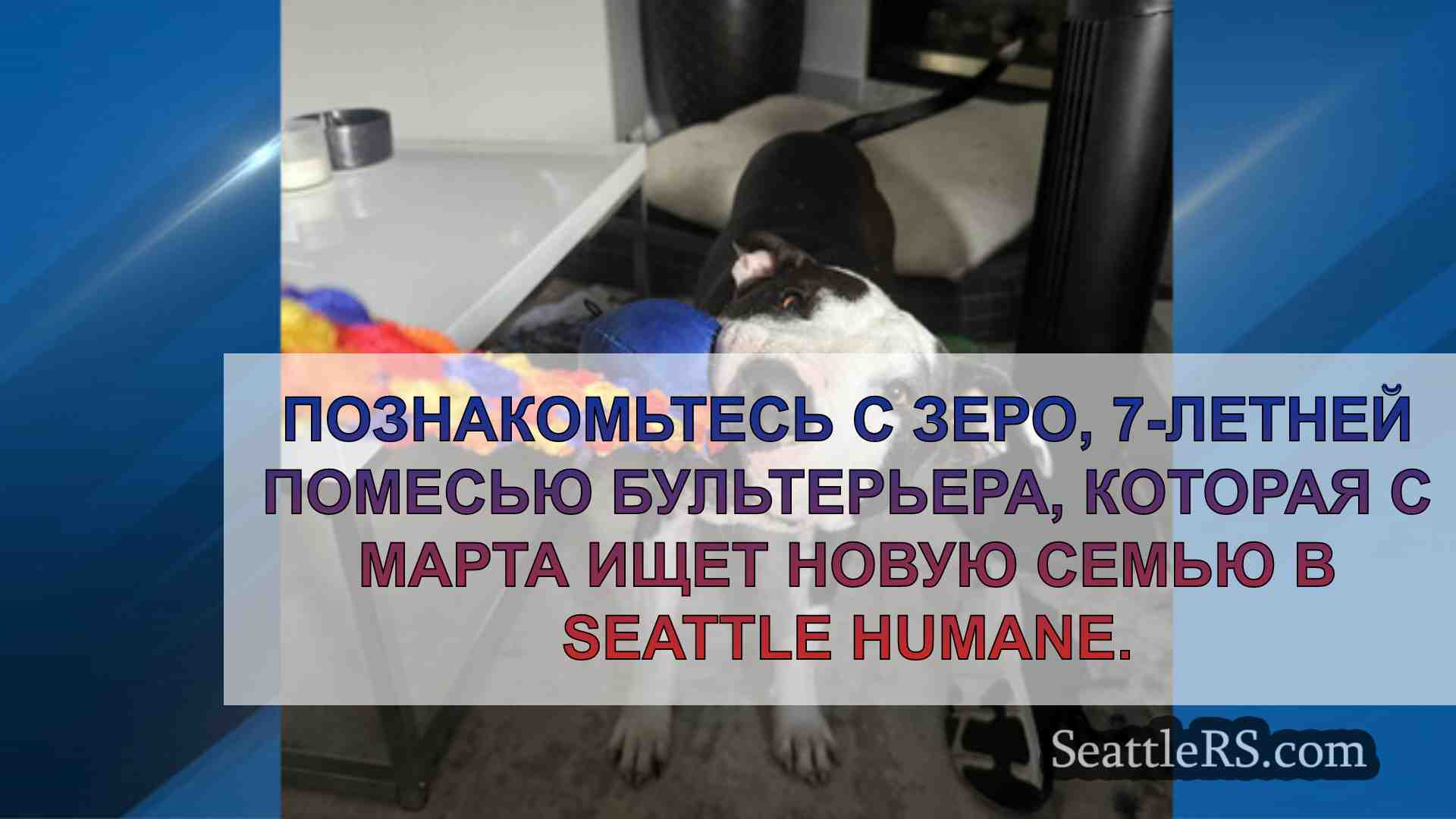 Новости Сиэтла SeattleRS