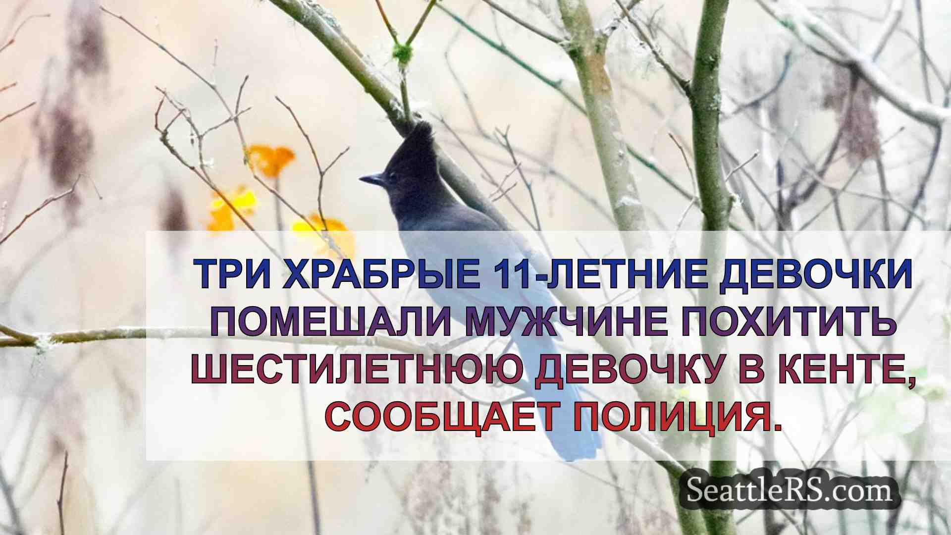 Документы: Мужчине, обвиняемому в