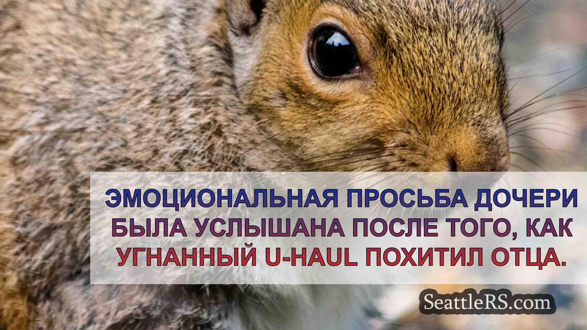 Эмоциональная просьба дочери услышана