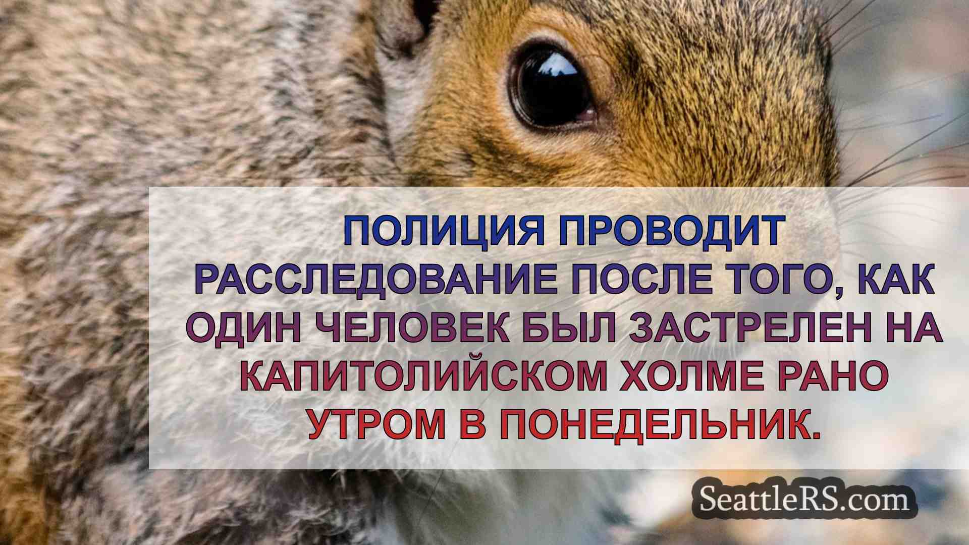 Новости Сиэтла SeattleRS
