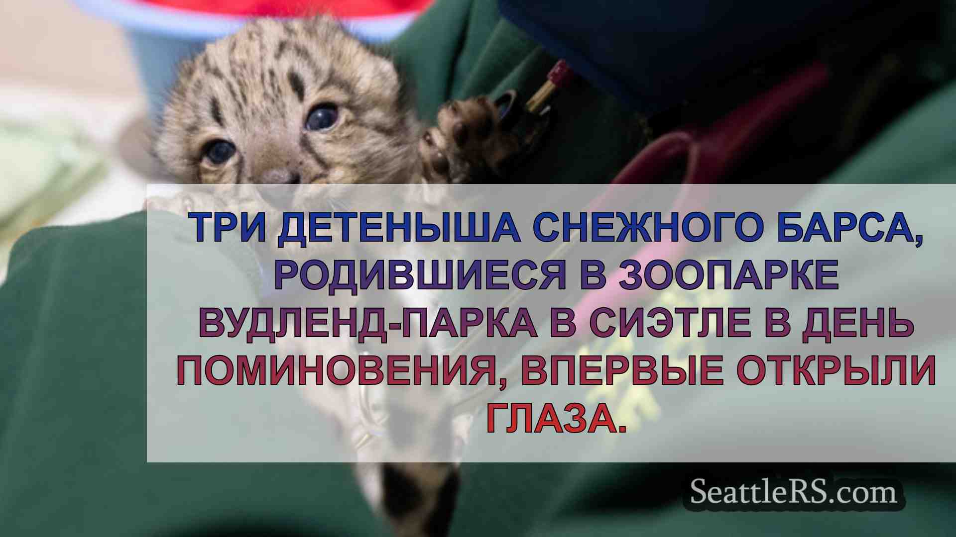 Новости Сиэтла SeattleRS