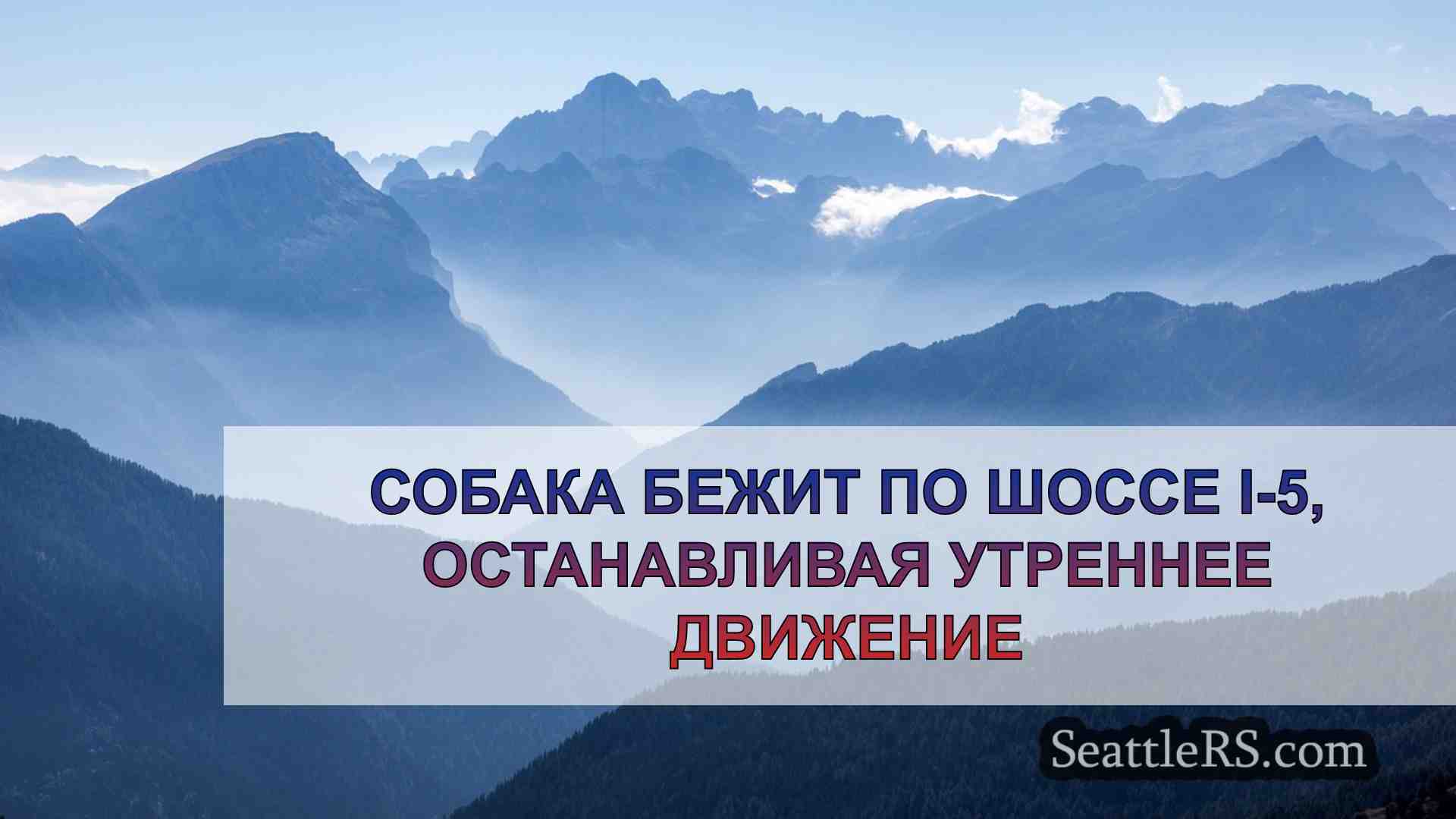 Новости Сиэтла SeattleRS