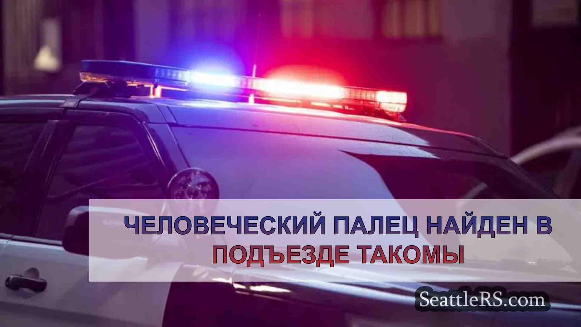 Человеческий палец найден в подъезде