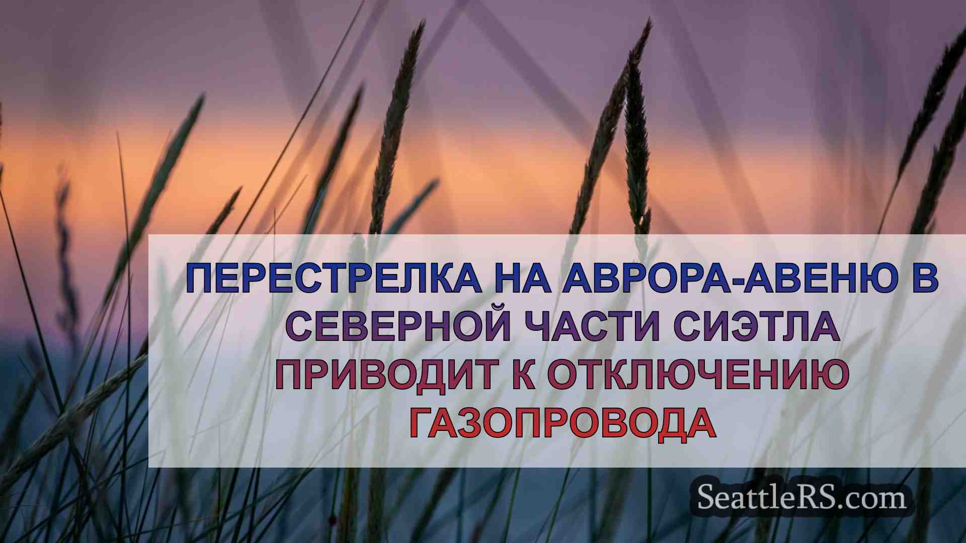 Перестрелка на Аврора-авеню в Северном