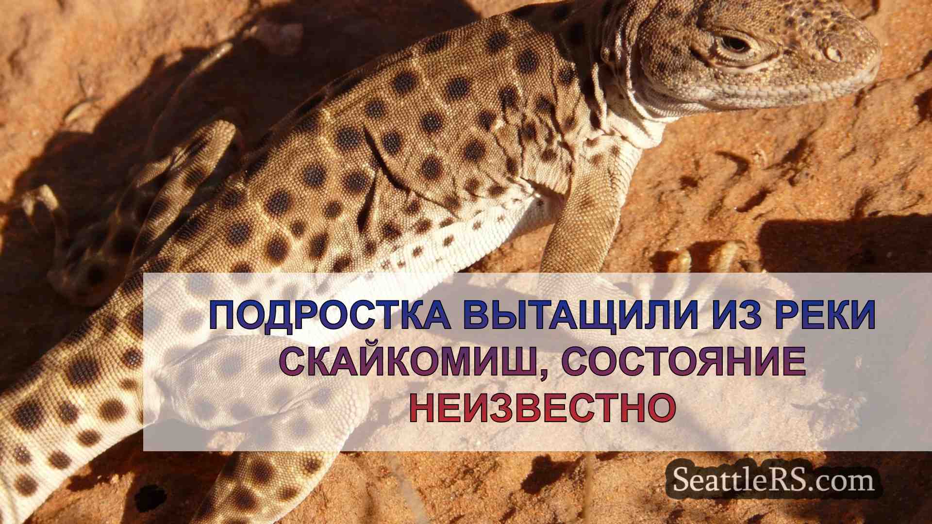 Новости Сиэтла SeattleRS