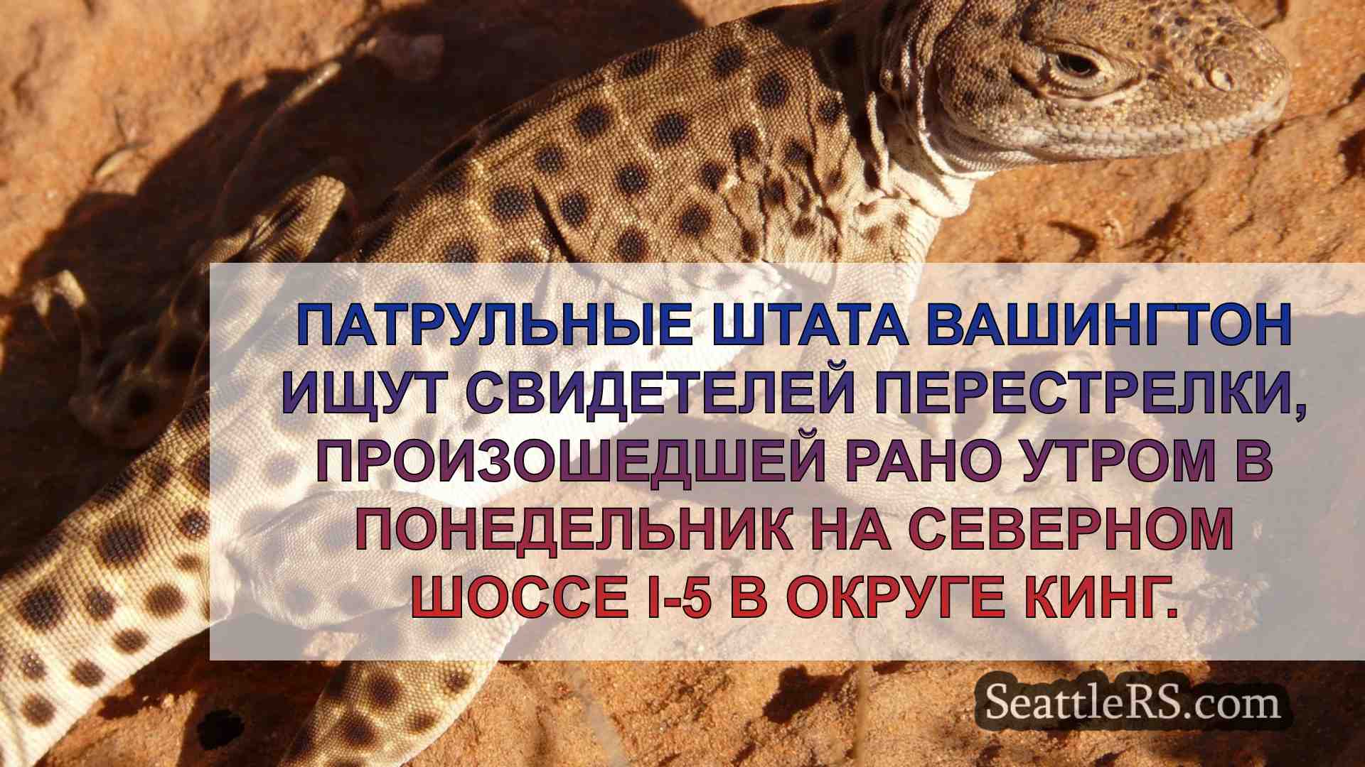 Новости Сиэтла SeattleRS