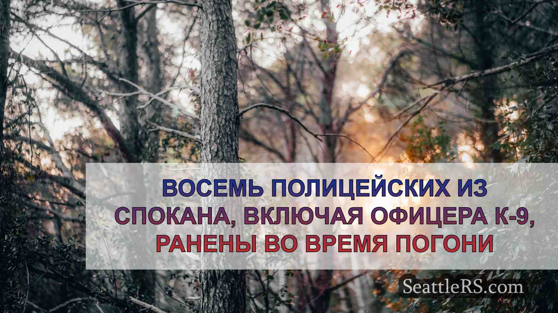 Новости Сиэтла SeattleRS