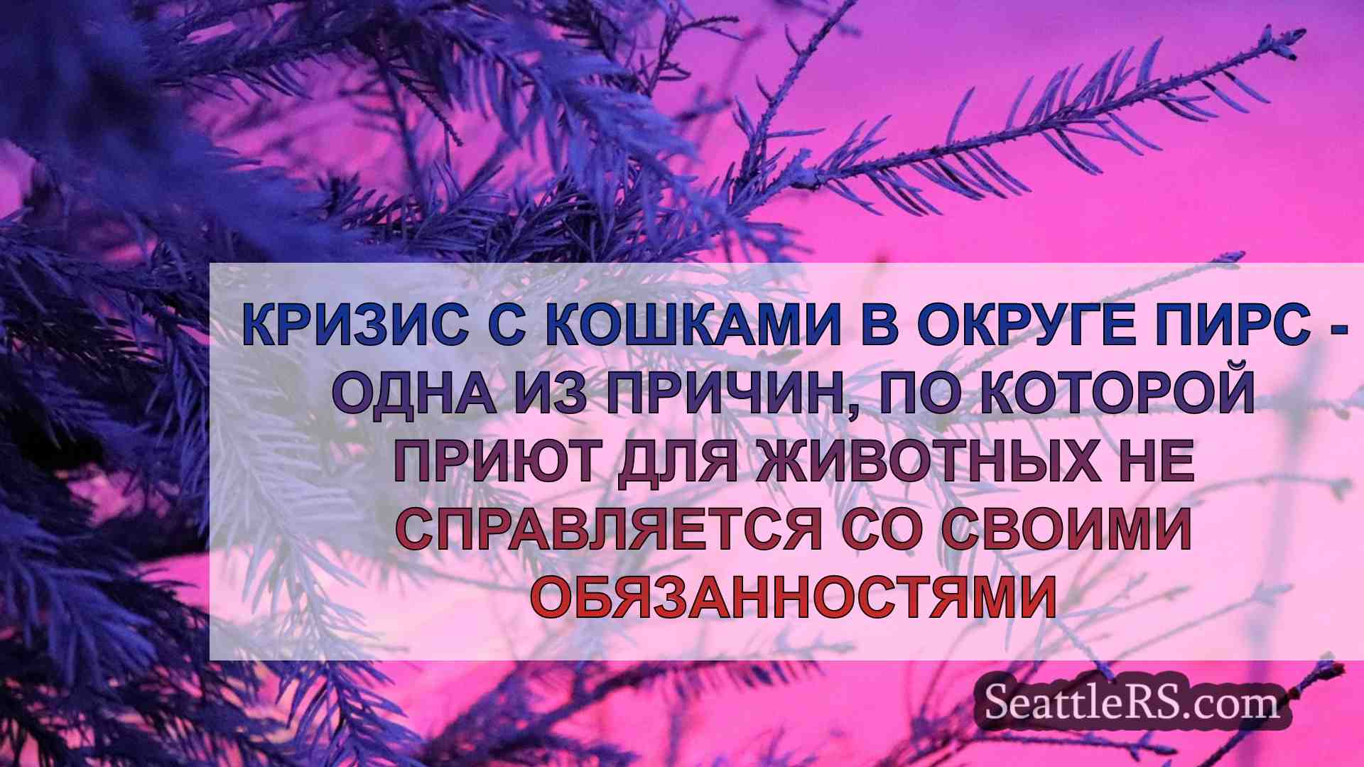 Новости Сиэтла SeattleRS