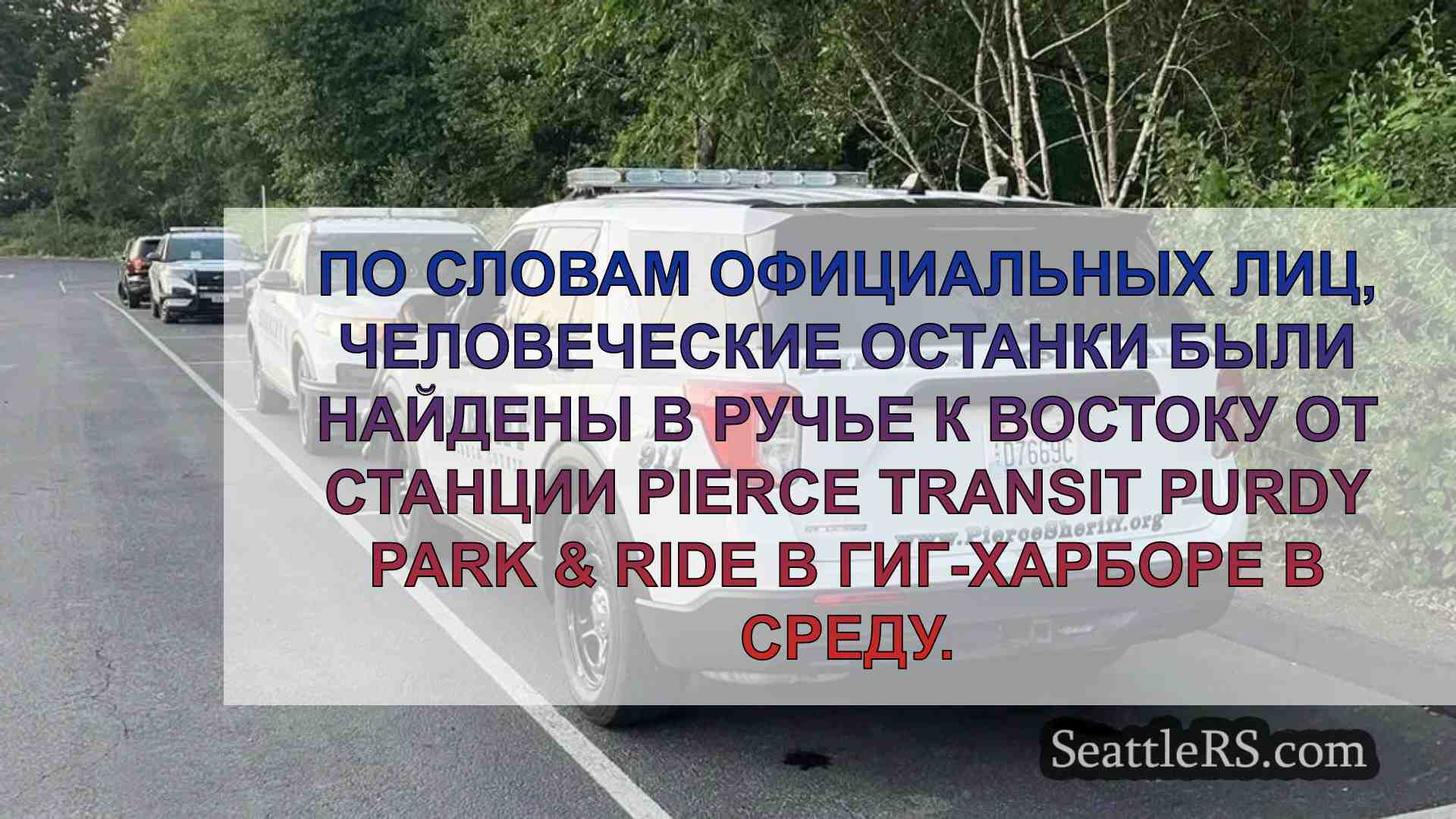 Человеческие останки найдены у ручья