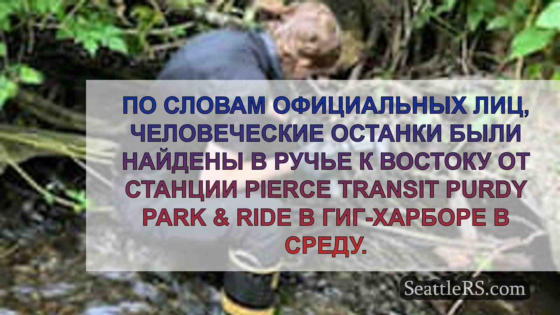 Новости Сиэтла SeattleRS