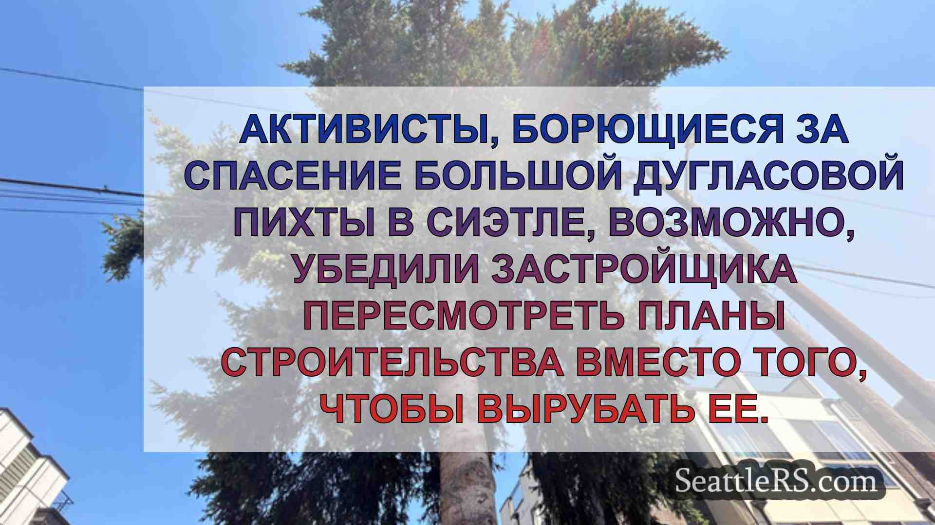 Новости Сиэтла SeattleRS