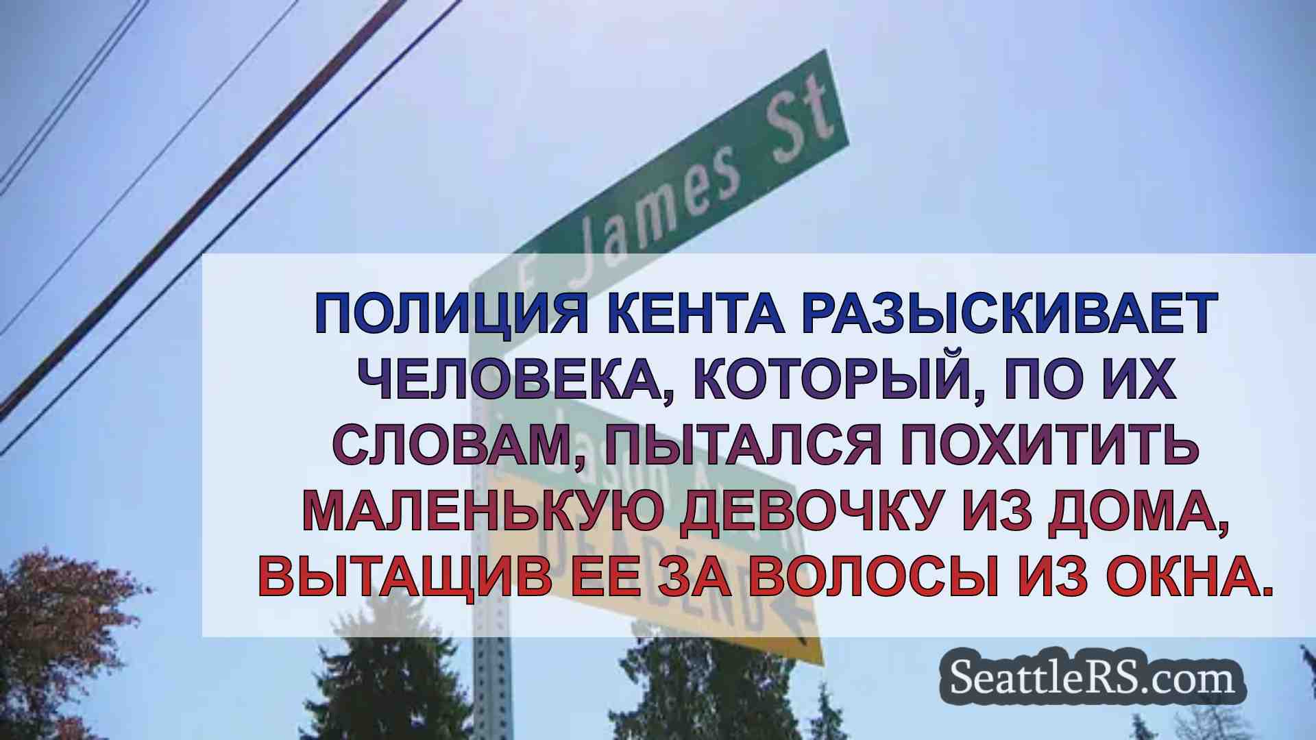 Мужчина пытается похитить девочку,