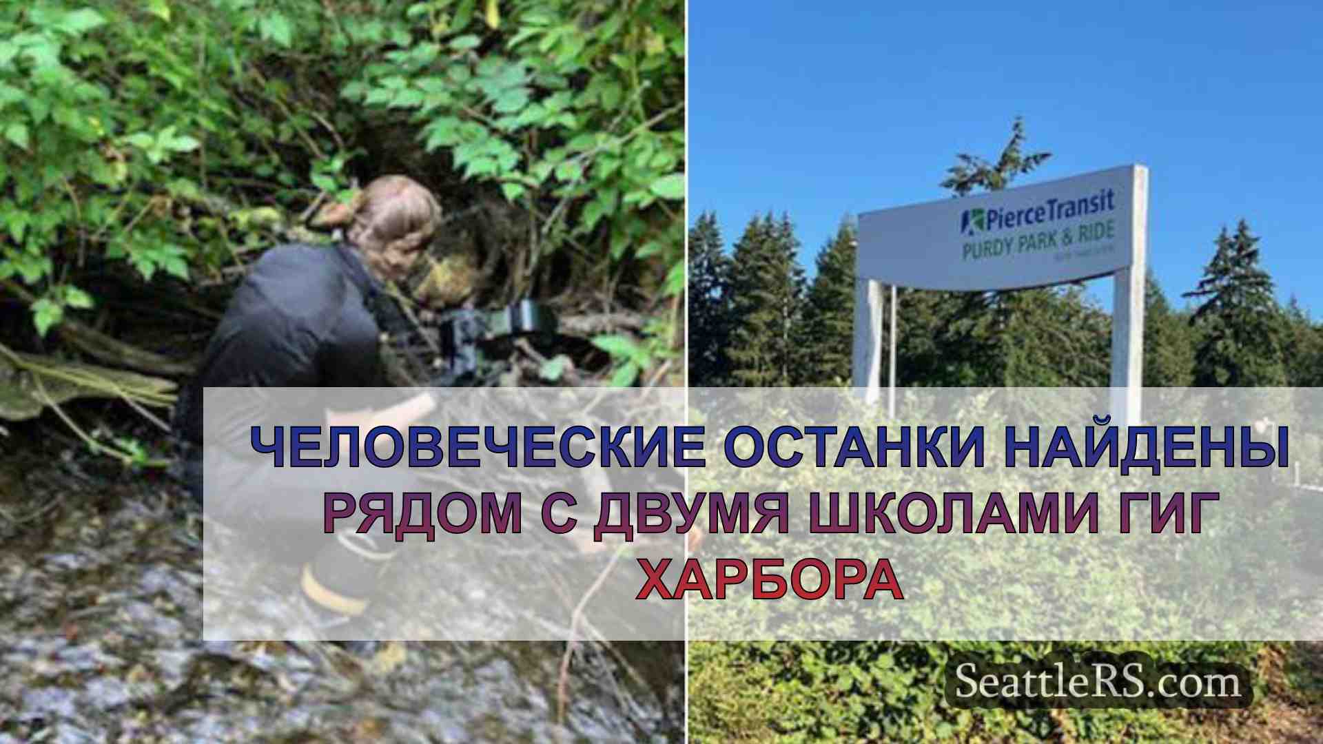 Человеческие останки найдены рядом с