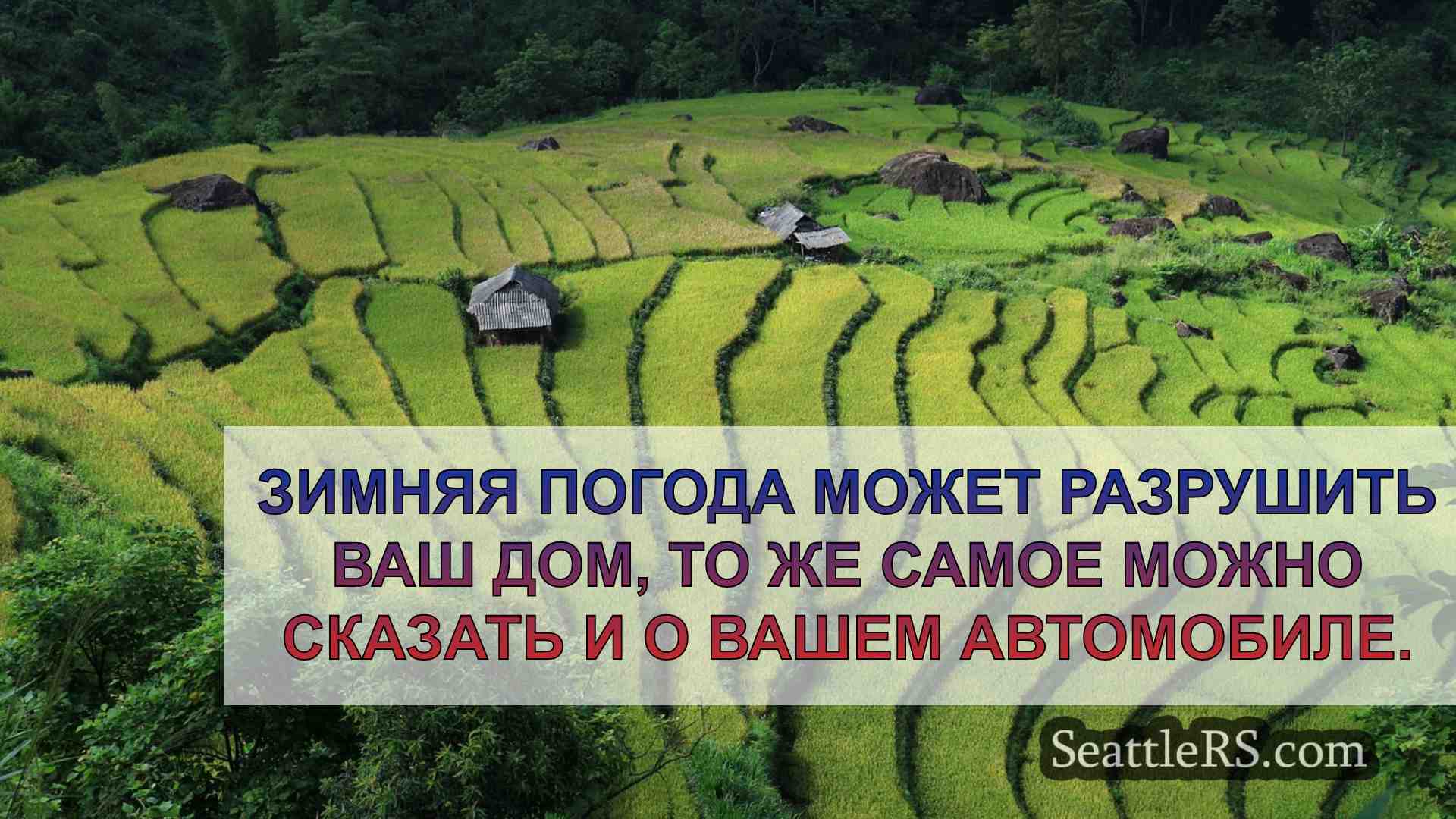Новости Сиэтла SeattleRS