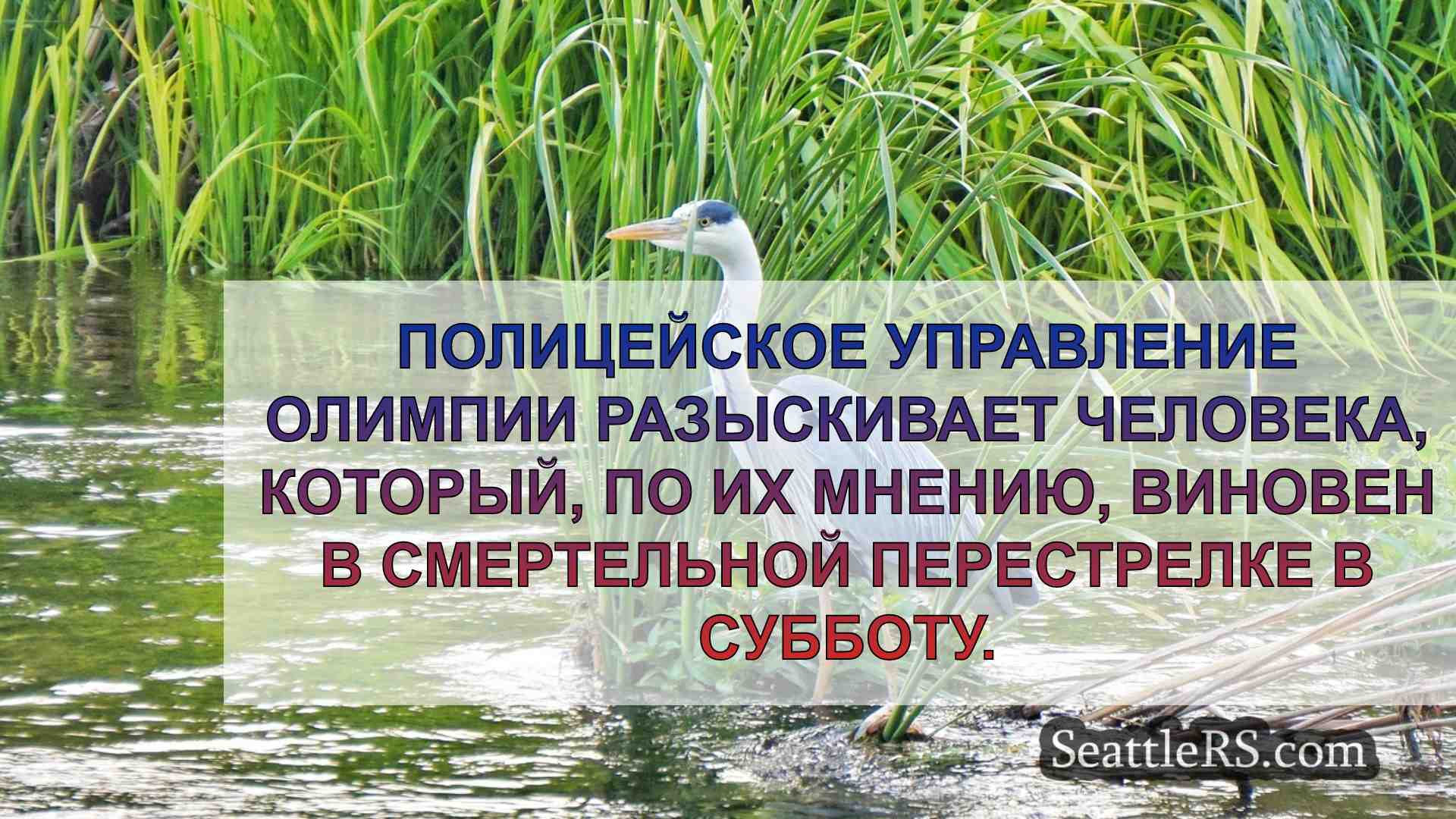 Новости Сиэтла SeattleRS