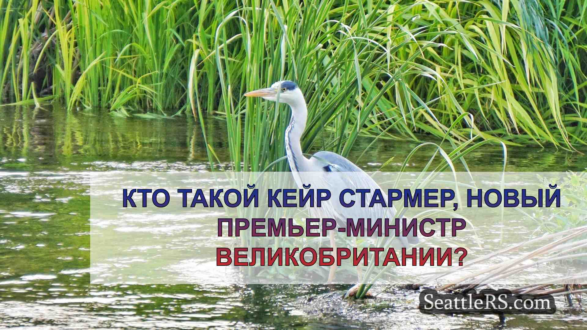 Новости Сиэтла SeattleRS