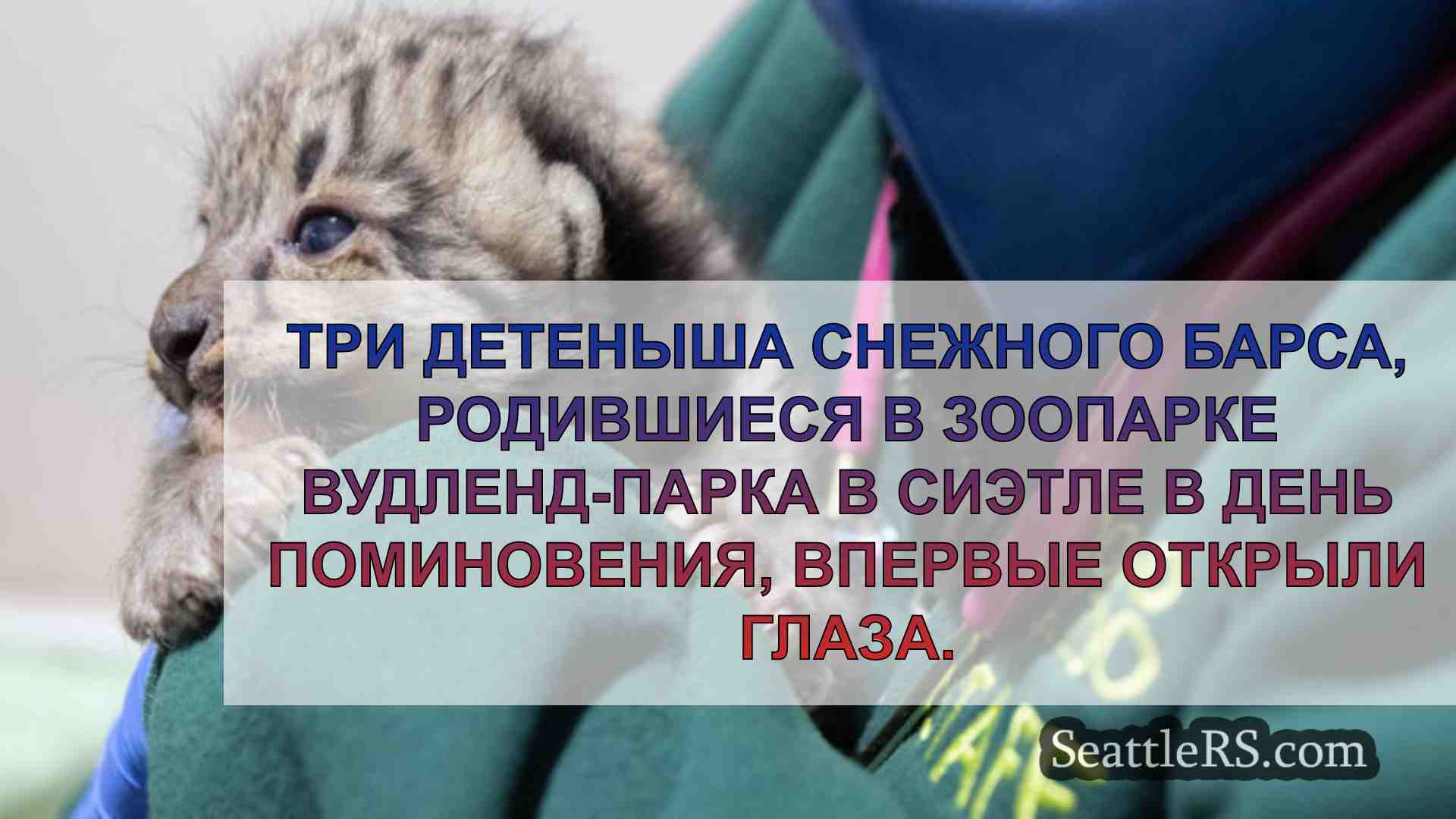 Новости Сиэтла SeattleRS