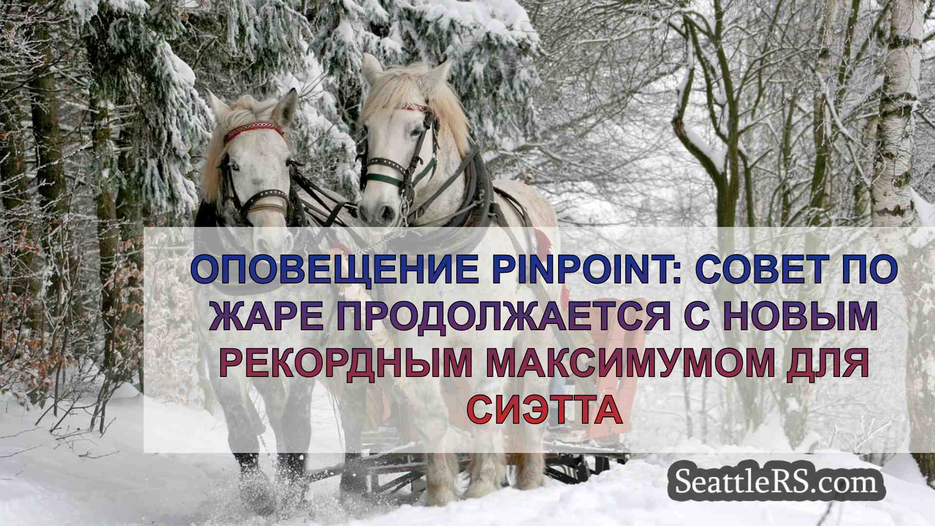 Новости Сиэтла SeattleRS