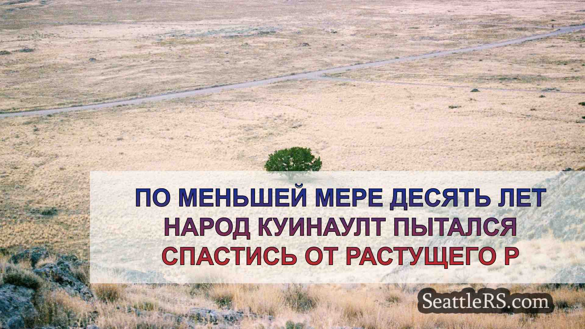 Новости Сиэтла SeattleRS