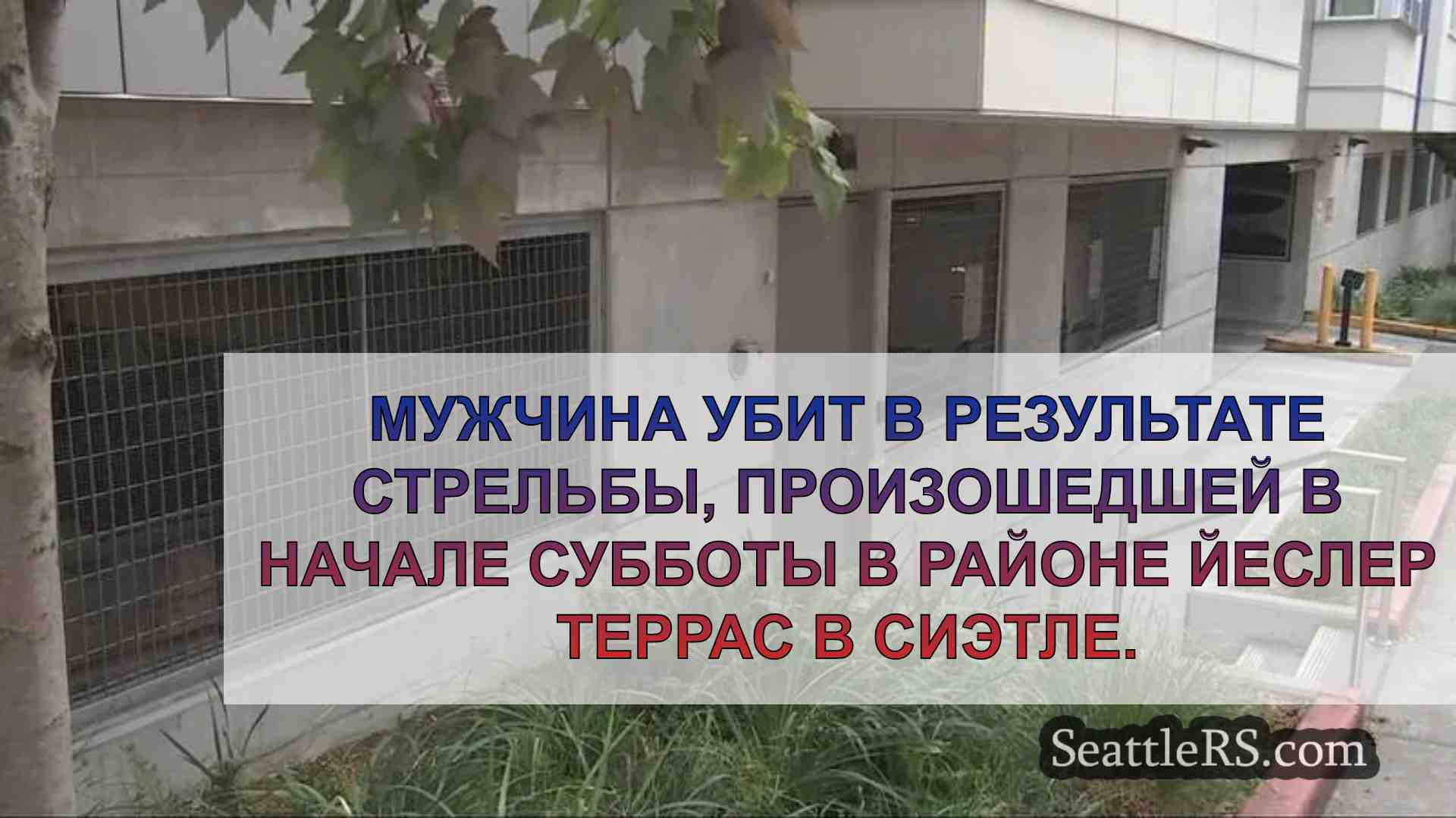 Мужчина убит в результате стрельбы в
