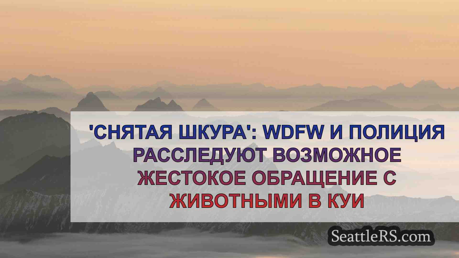 Новости Сиэтла SeattleRS